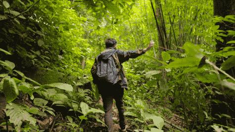 他的工作是厨师的英文,他的工作是什么英文句子