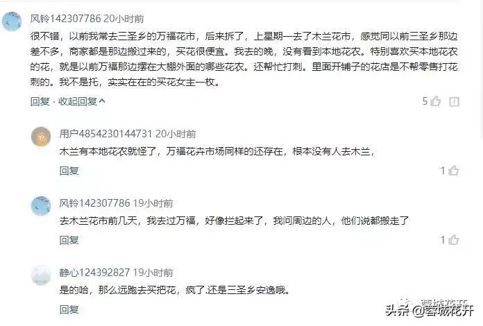 鍥涘窛钃夊煄鑺卞紑鑺卞競,钃夊煄鑺卞競