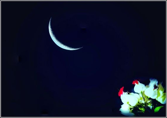 古文中月的含义,古文里每个月十五号怎么说