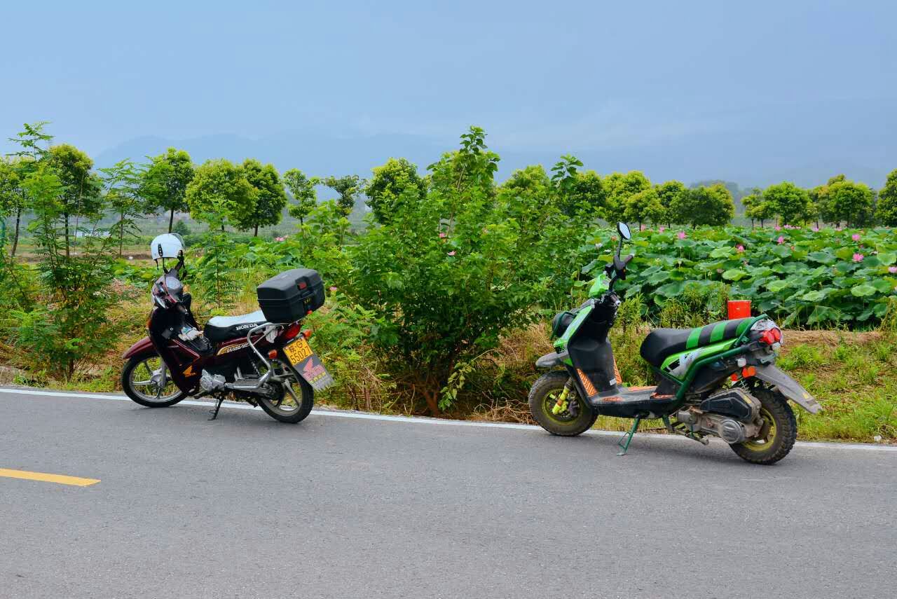 摩友一起骑行的视频,与摩友一起川藏