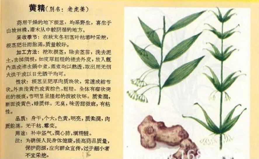 中医治疗耳鸣常用药,耳鸣和脑鸣的中医秘方