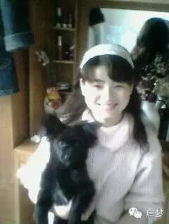 宠物去世你还会再养一只吗,狗狗病死还想再养一只