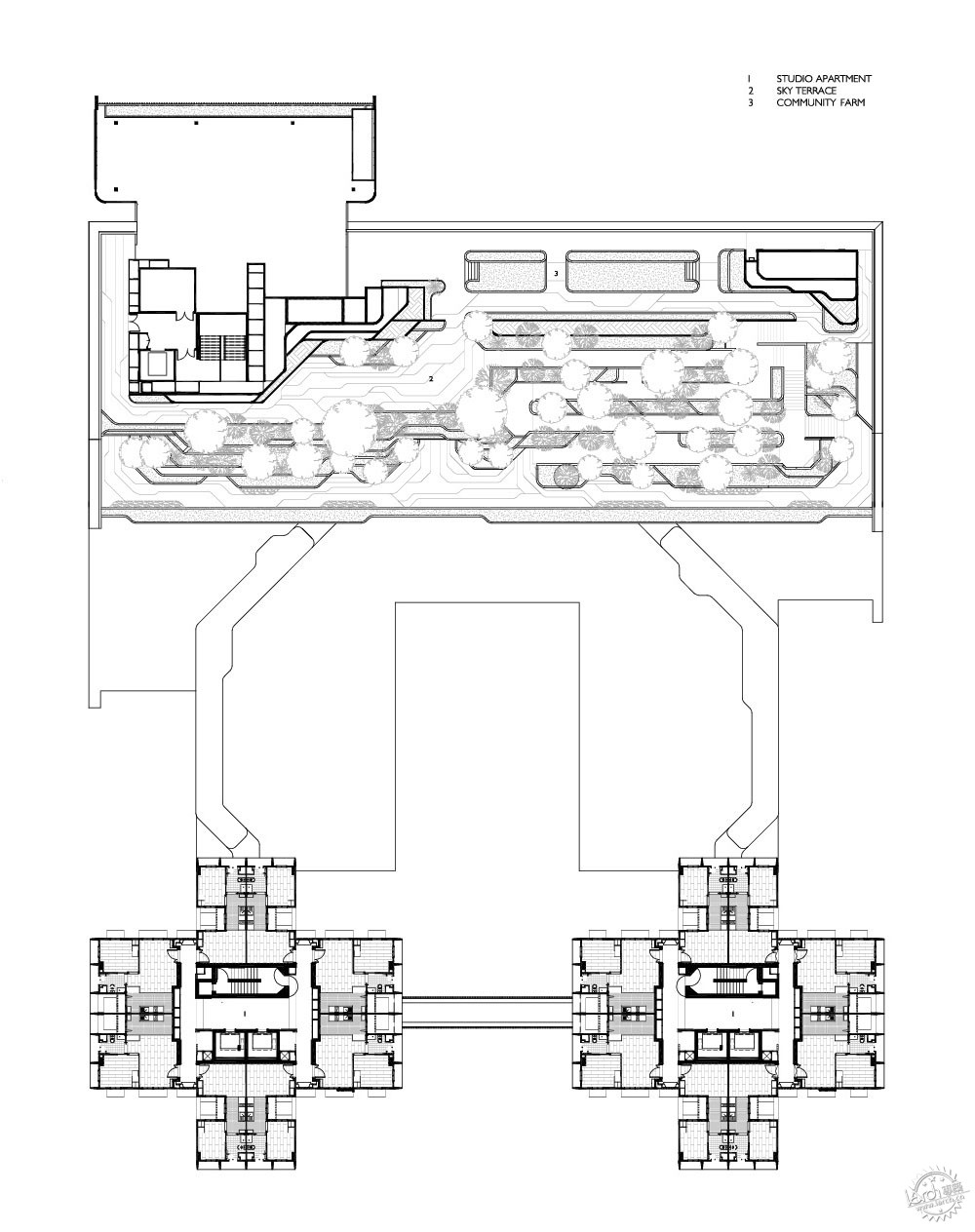 漫步绿树成荫的街道,绿树成荫环境怡人小区