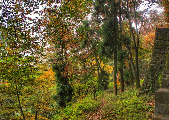 湖州周日游玩攻略推荐,湖州出游推荐