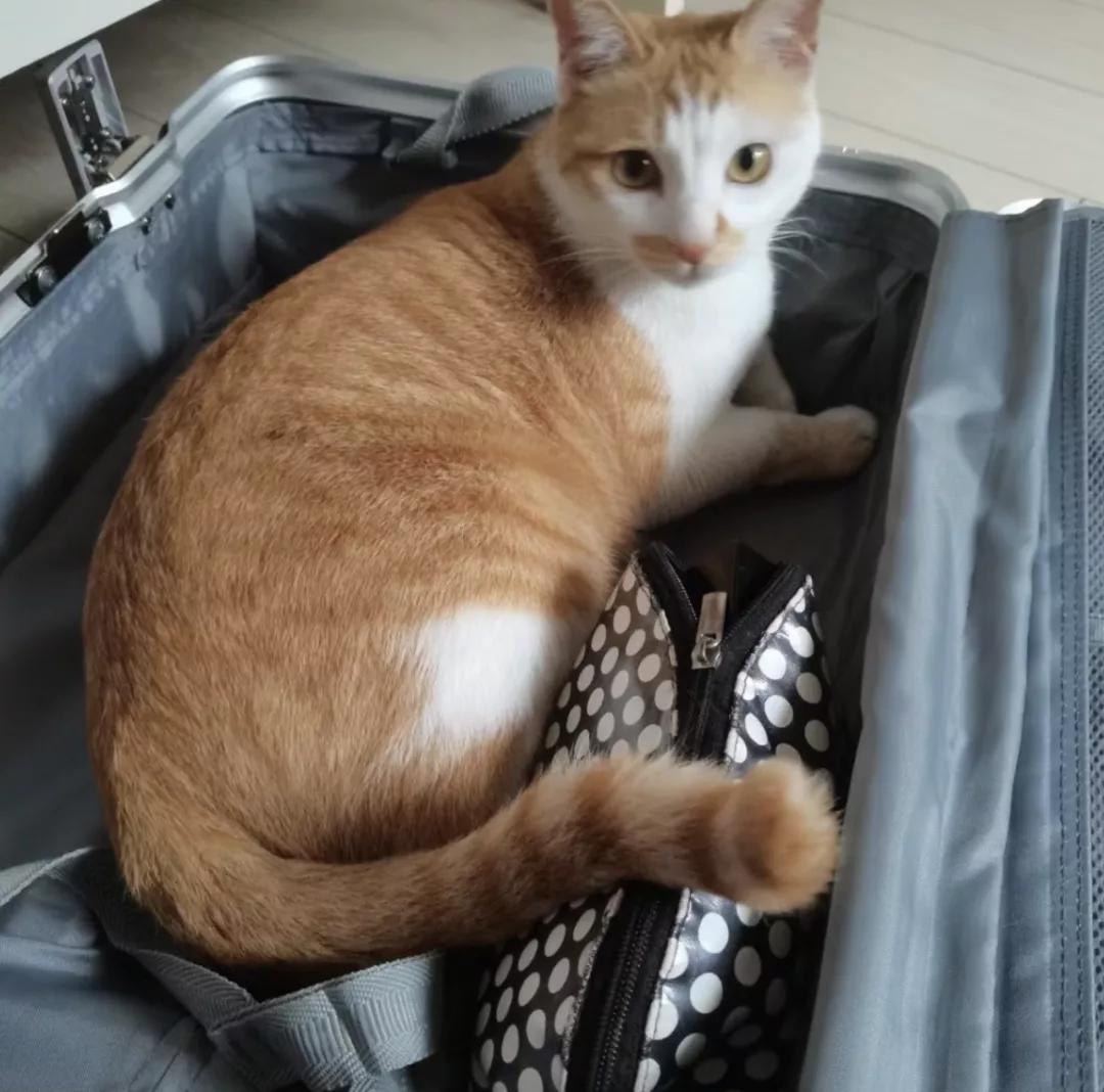 恋爱中要珍惜每一次相遇,初次相遇终身难忘