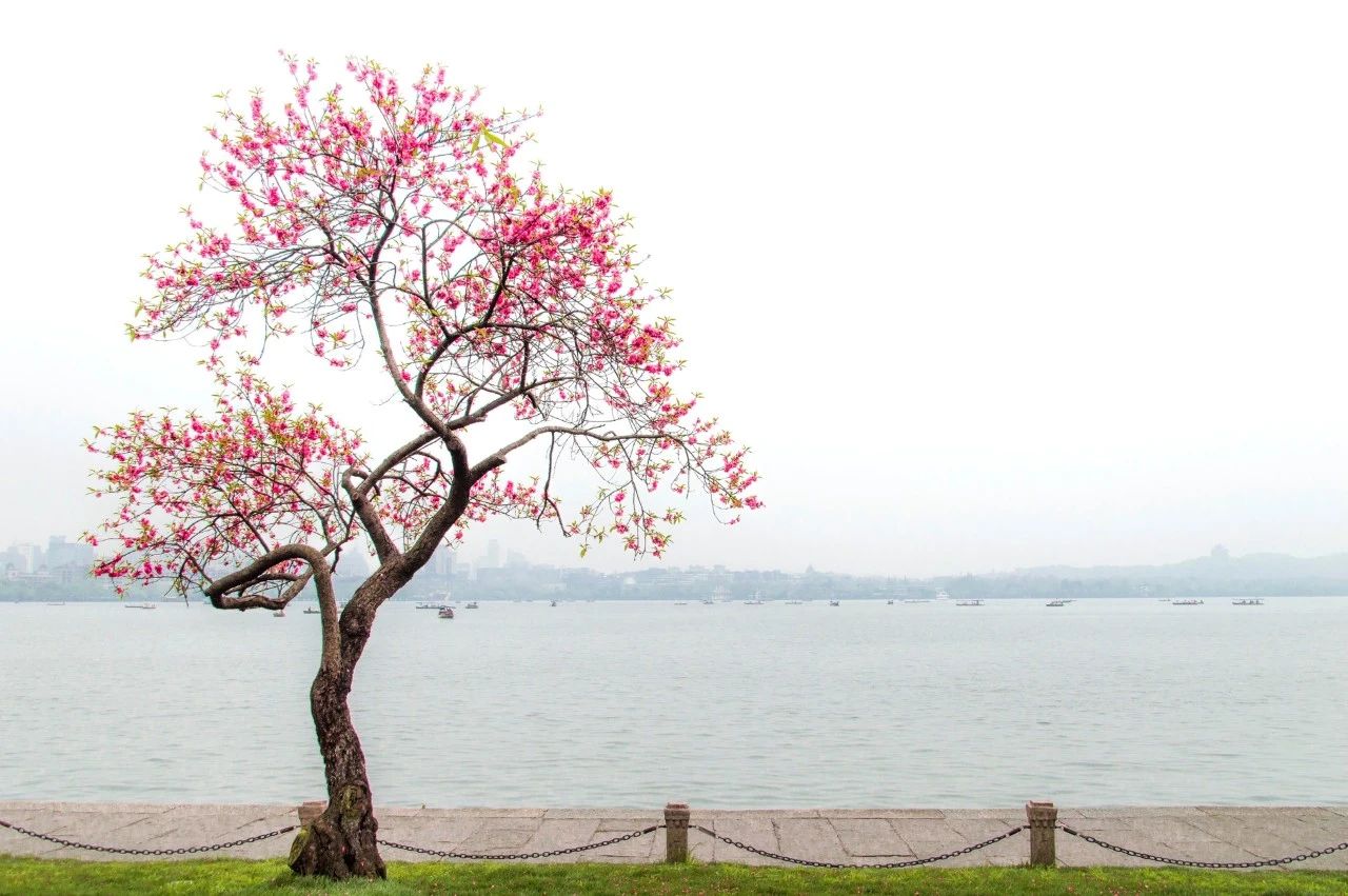 暮春来,暮春初夏的唯美诗词