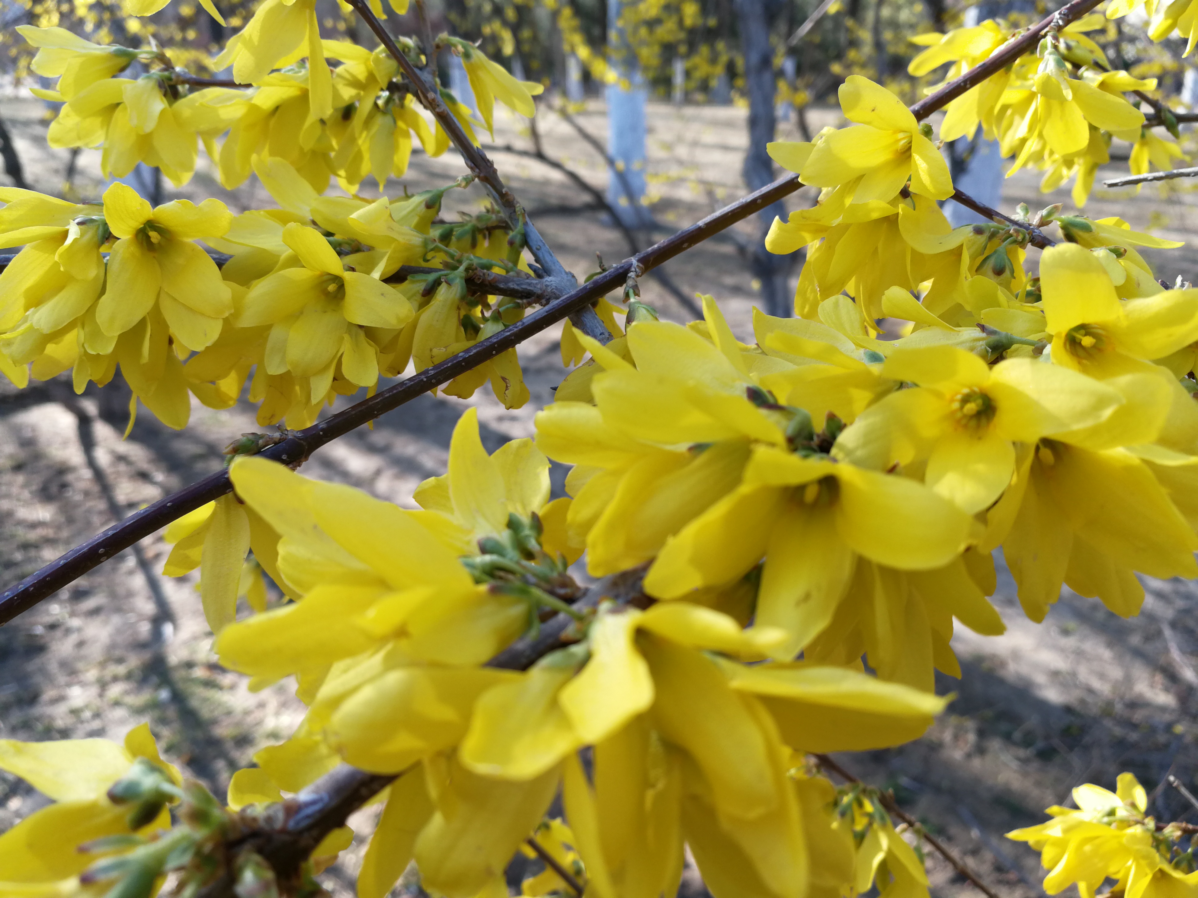 航班延误险真的有必要买吗,航班延误了可以买航班延误险吗