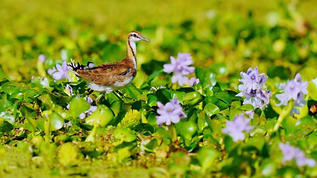立场不同，请不要随意指责