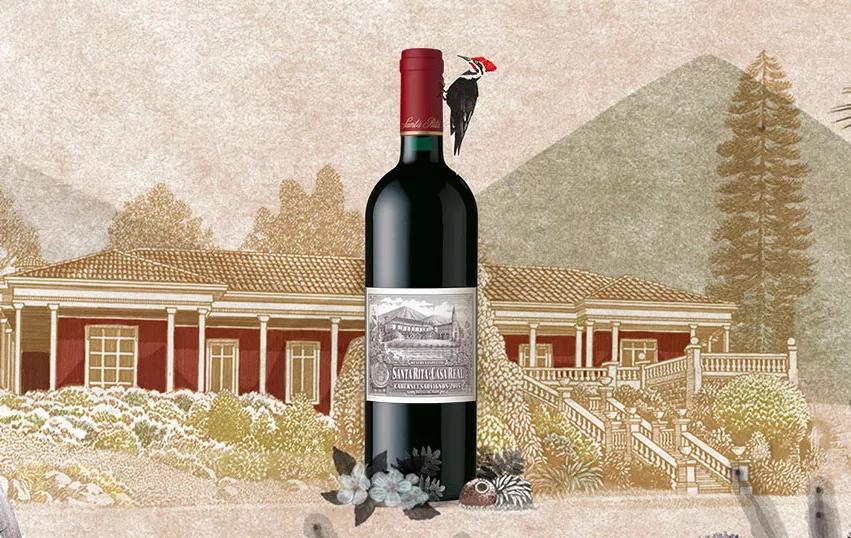 智利18罗汉中性价比最高的,智利十大顶级葡萄酒