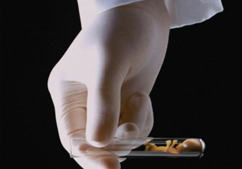 做试管精子和卵子有没有经过筛查,试管婴儿和人工授精选择