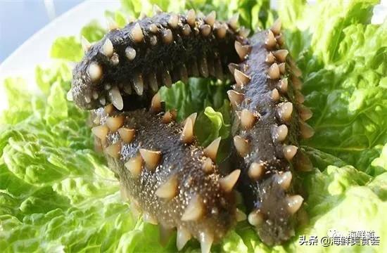 好吃不贵的海鲜种类有哪些,最好吃又最常见海鲜有几种