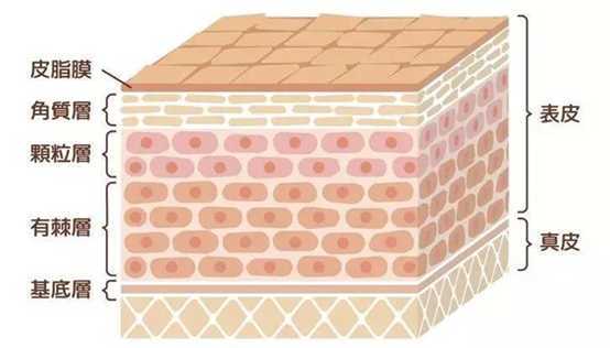 肌底液海蓝之谜,mbk美碧肌底液