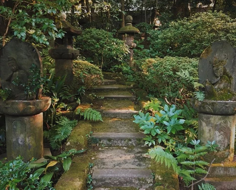 东京自由行最佳攻略详细,东京5日自由行攻略