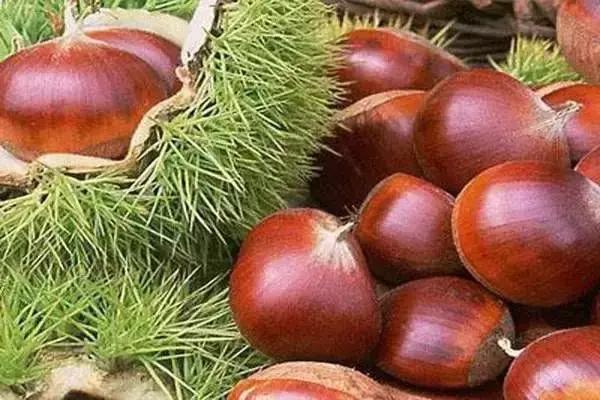 你心目中的乳山是什么样子的？