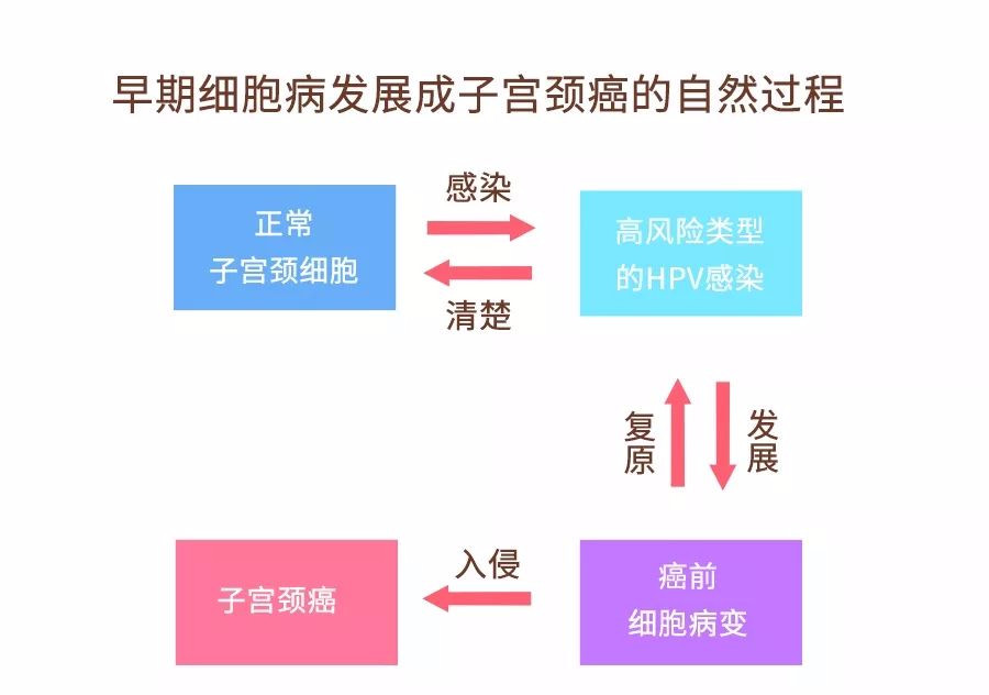 宫颈癌疫苗真的能预防hpv吗,你了解宫颈癌筛查吗