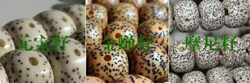 星月菩提佛珠相关知识,星月菩提入坑要避免什么