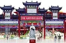 「市场快讯」木瓜、厚朴、红豆蔻、杜仲、北沙参、紫苑、葛根