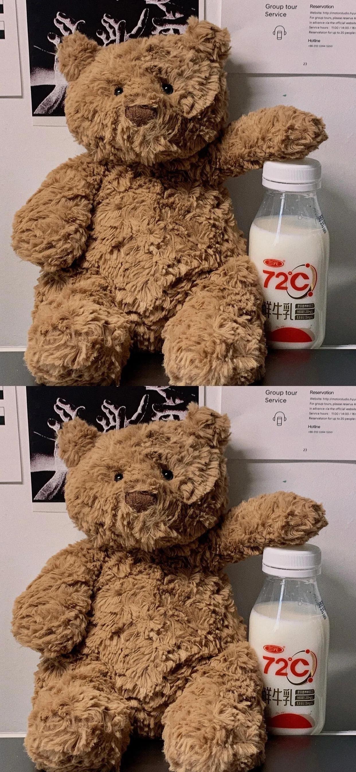 巴塞罗那熊4k壁纸,巴塞罗那熊高清手机壁纸