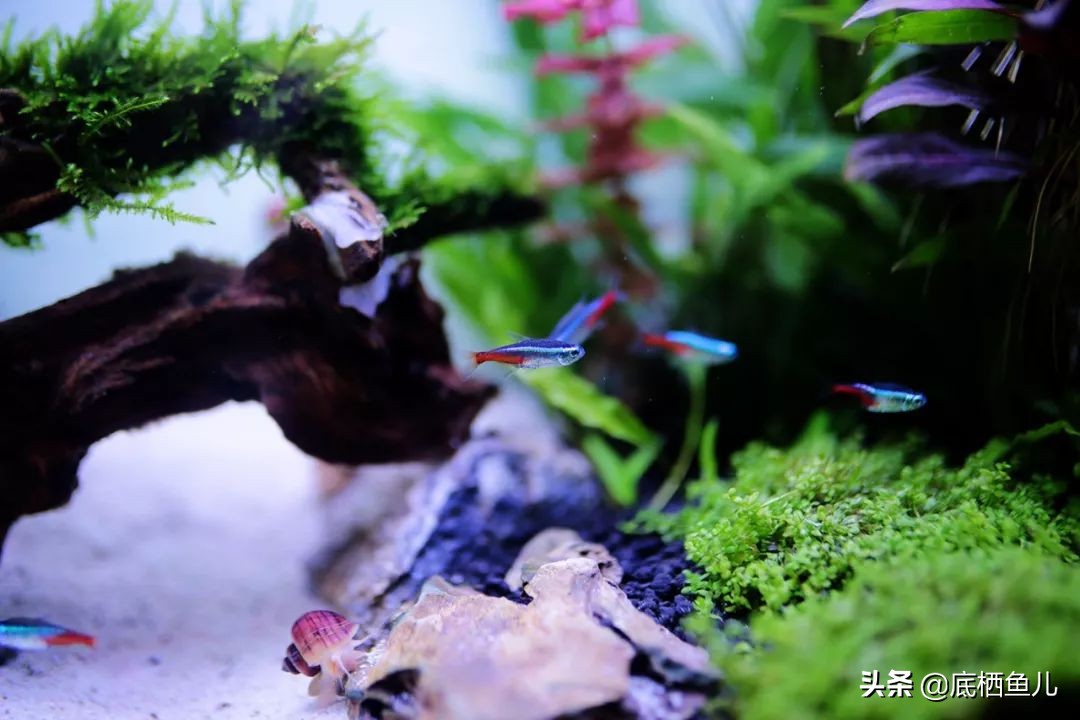 树脂材质的假山怎么样,树脂做假山造型视频