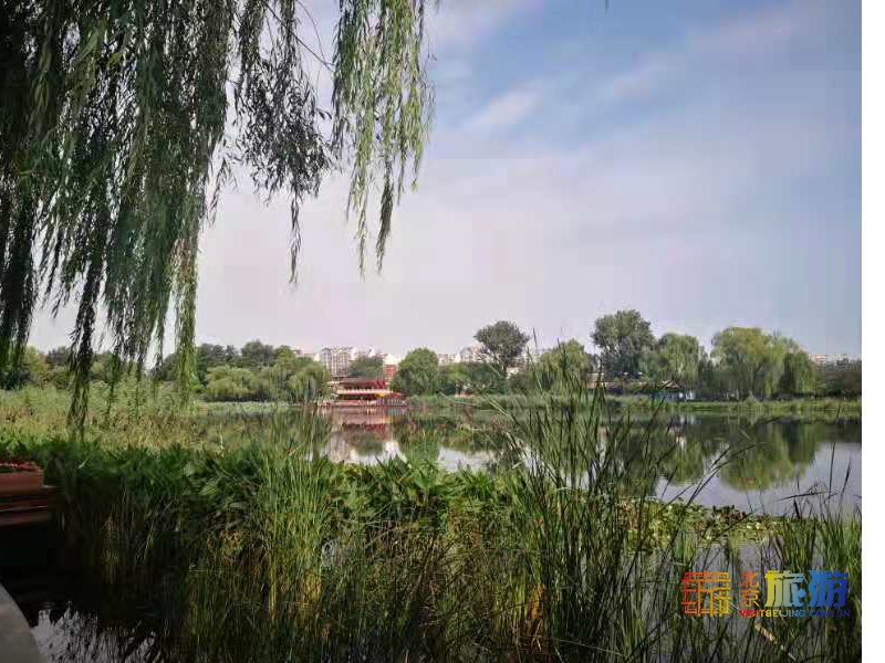 什刹海傍晚怎么玩,什刹海附近晚上适合玩的地方