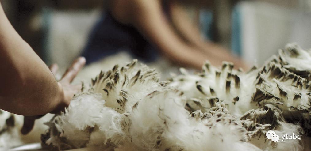 新西兰旅游哪里买护肤品,旅游新西兰必买清单