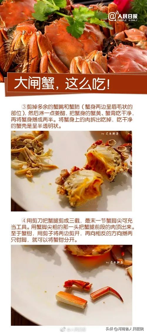 螃蟹怎么吃正确千万不要吃错了,螃蟹怎么吃对身体最好