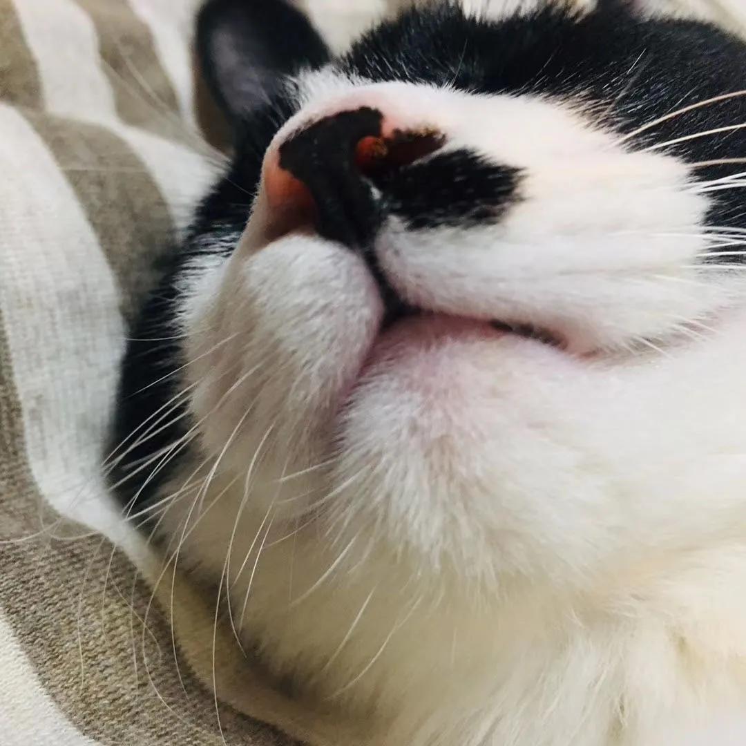 和卡卡的第一次合作,和卡卡相遇