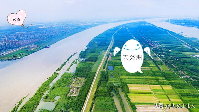武汉港各个码头,武汉港由哪几个港口组成