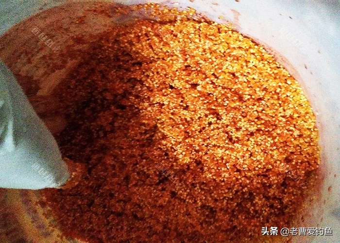 自制酒米钓鱼方法,自己用小米做鱼饵最简单方法