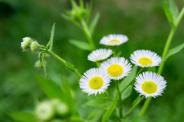 日照文旅,日照旅游攻略