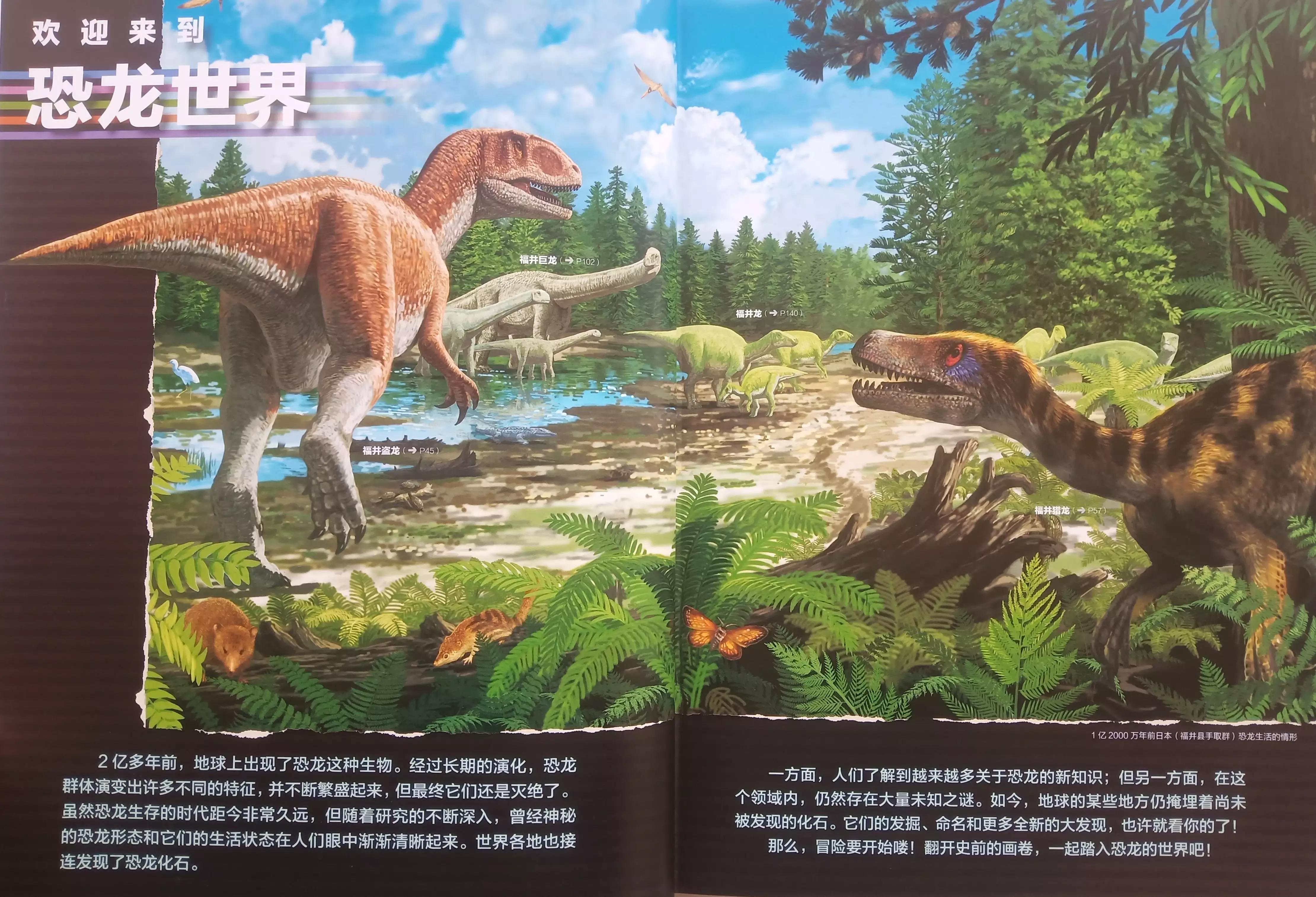 儿童恐龙百科知识讲解,恐龙百科知识儿童版6岁