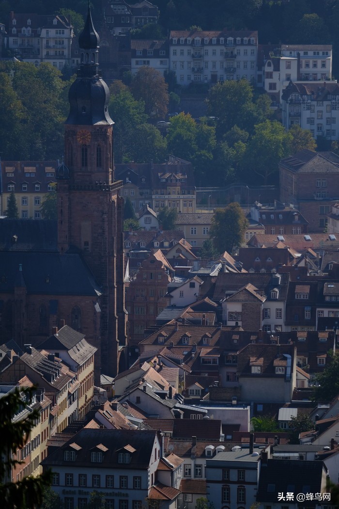 富士x-t30markii测评,富士x-t3深度评测