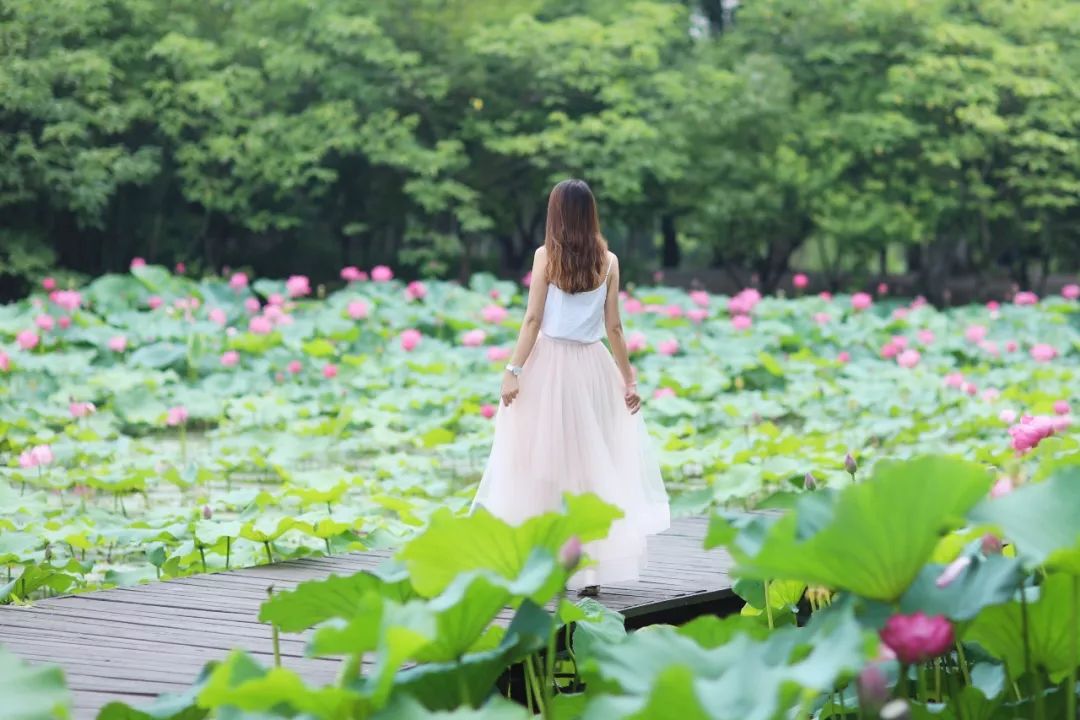 沙家浜旅游民宿有哪些,三月最适合去的最美民宿