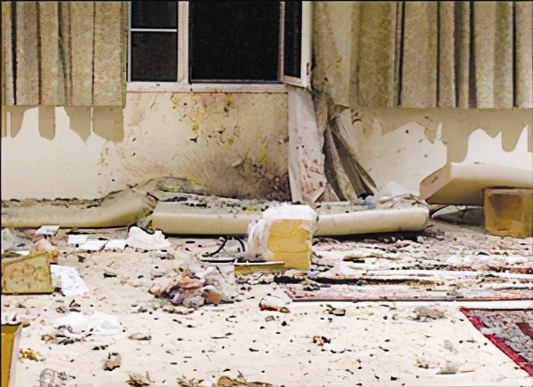 苏联特工微声手枪,苏联特工使用的小手枪