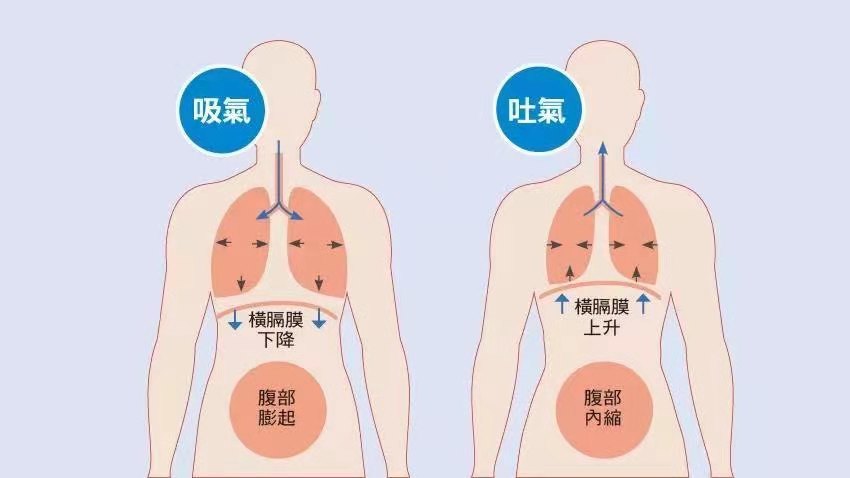 站桩练气怎么呼吸,呼吸练气增力法