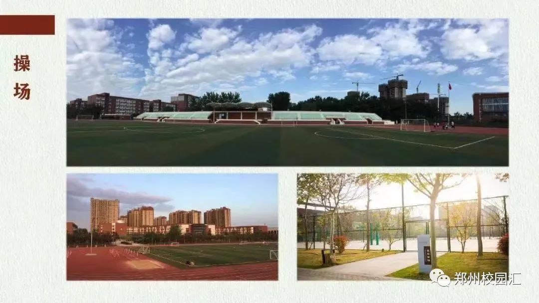 秋季郑州枫杨外国语学校转为公办,郑州枫杨外国语小升初录取分数线