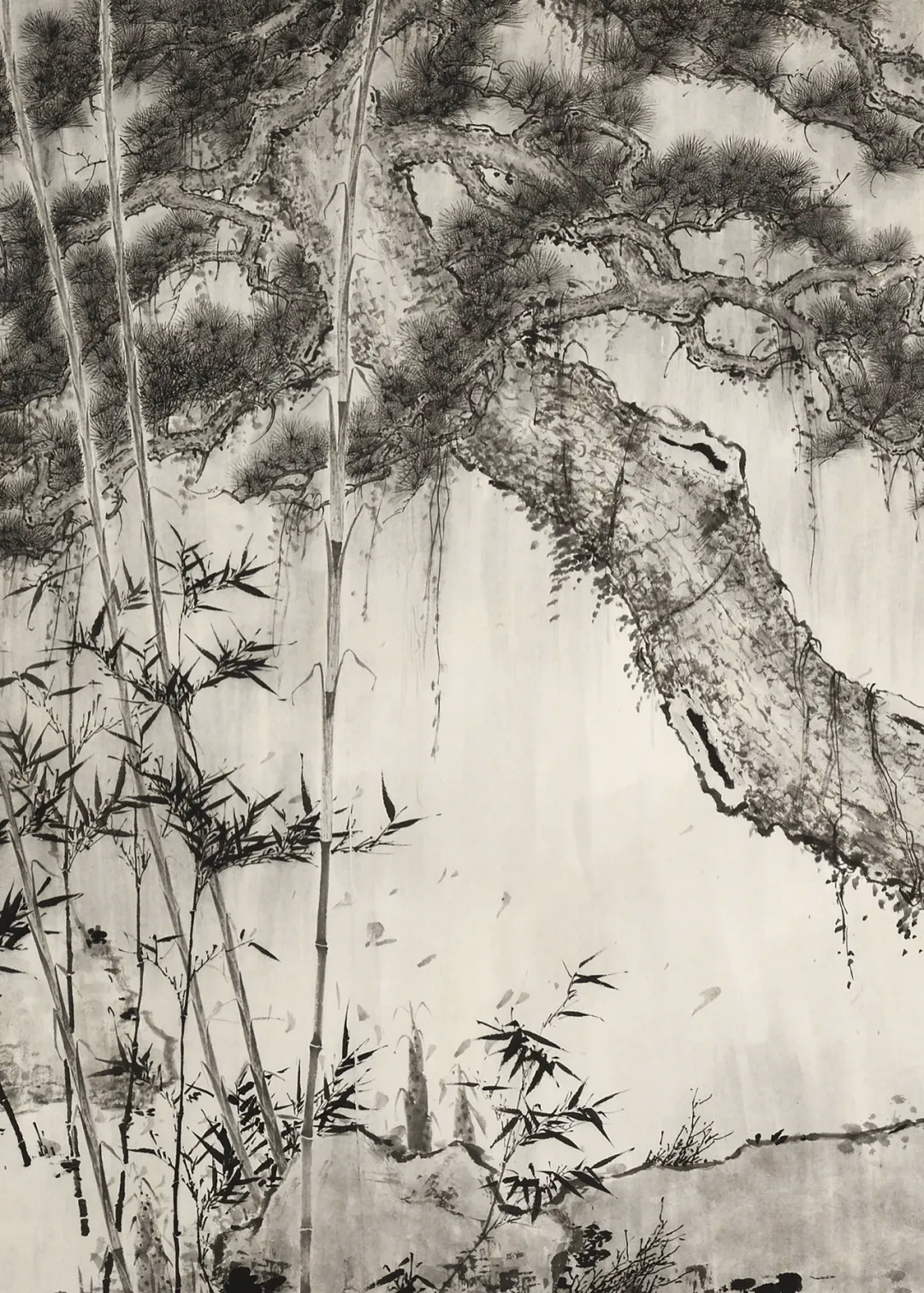 时风丨李乐然:我们这一代