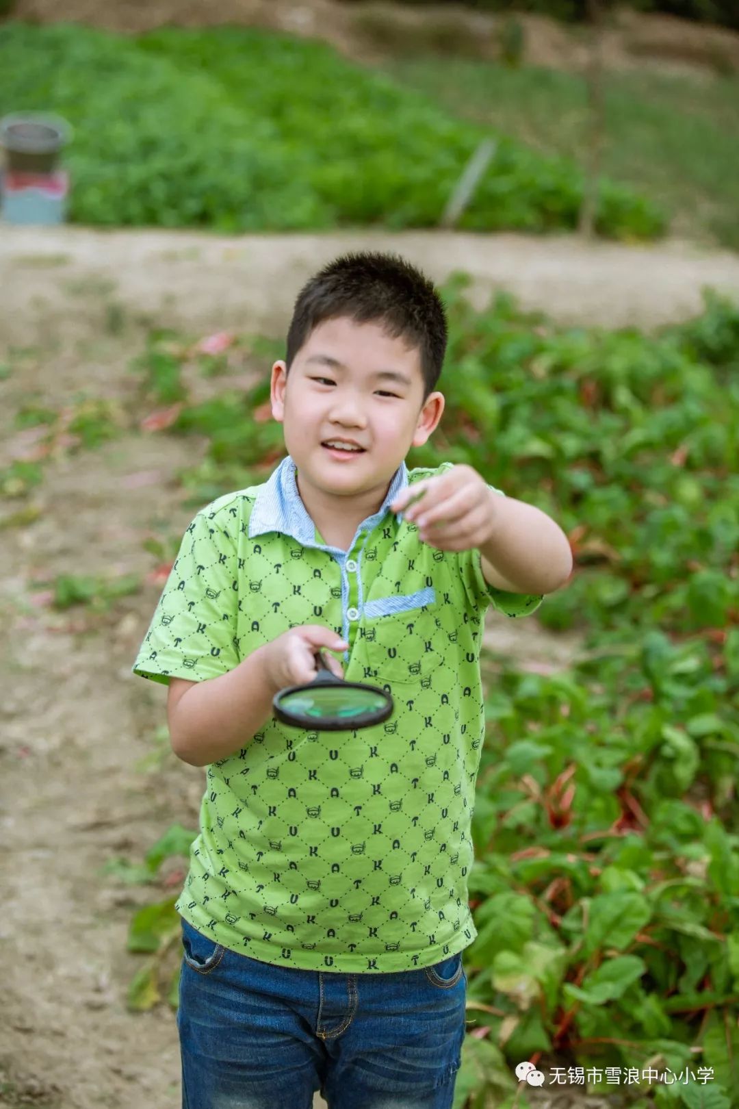 翻地、播种…无锡老小将课堂搬到了田间地头