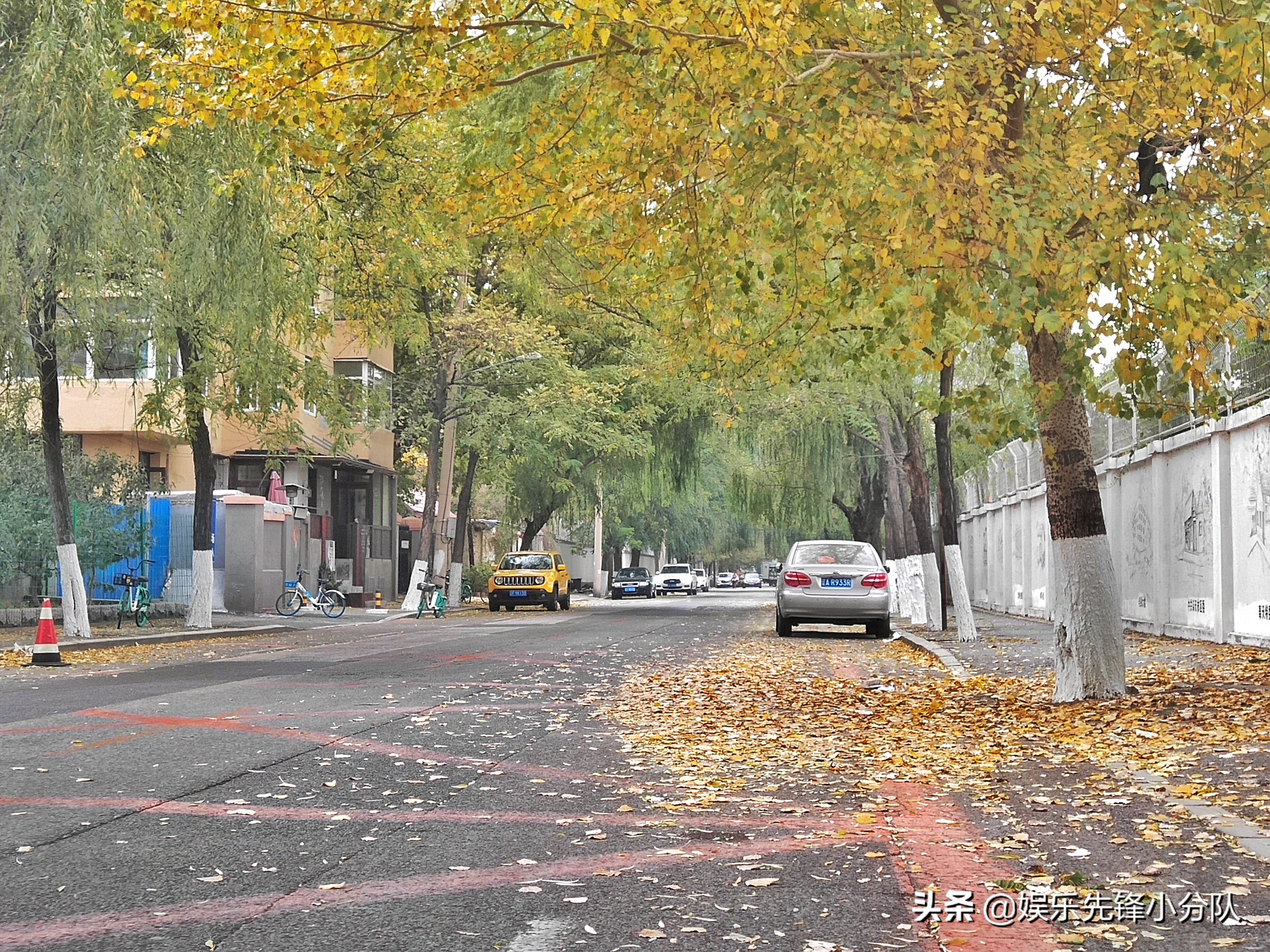 沈阳市中心好玩吗,沈阳城周边值得去的地方