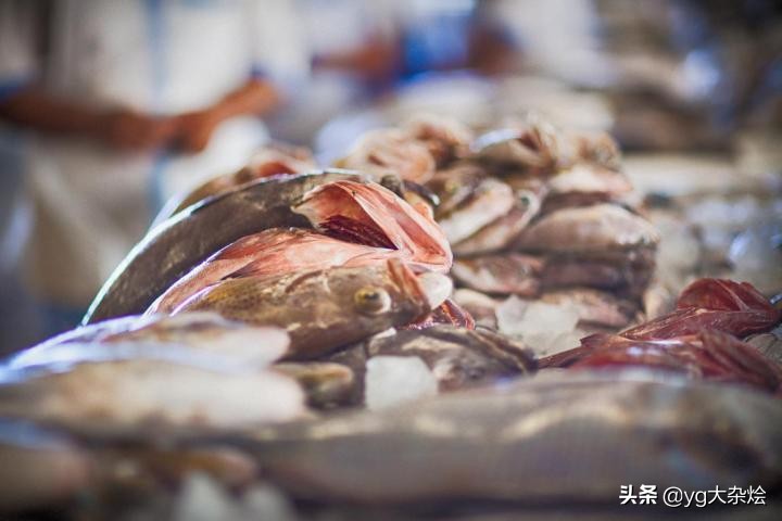 迪拜周围的国家旅游景点,迪拜有哪些著名景点