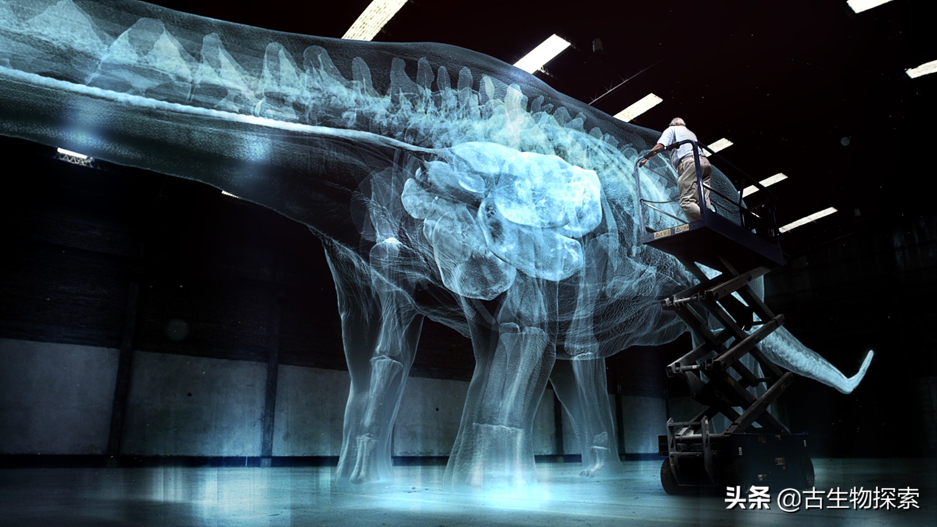 巴塔哥泰坦龙完整化石,巴塔哥泰坦龙进化史