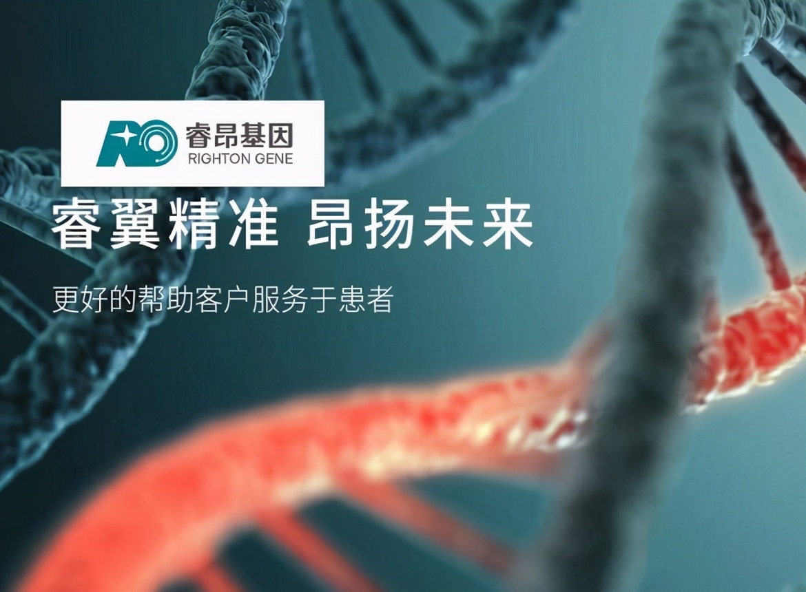 睿昂基因的最新利好,睿昂基因公司现状