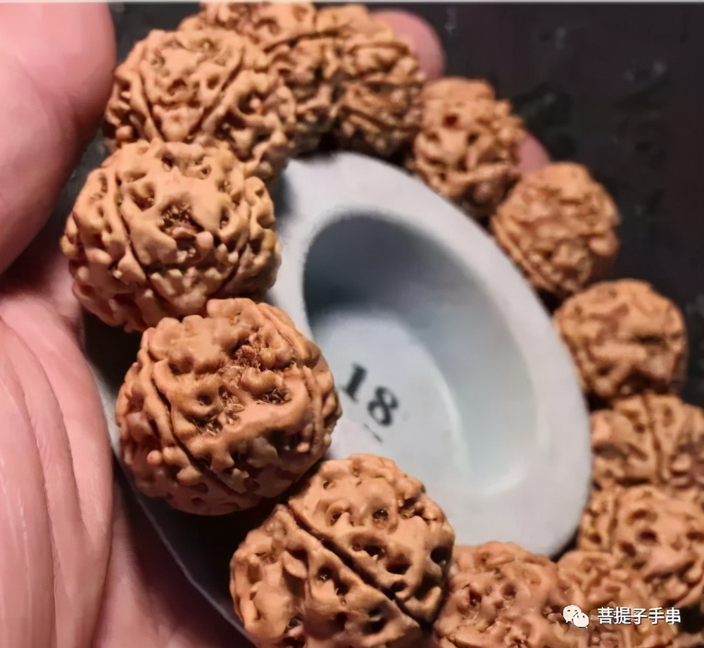 金刚菩提和凤眼菩提手串哪个好,凤眼菩提和金刚菩提有什么区别呢