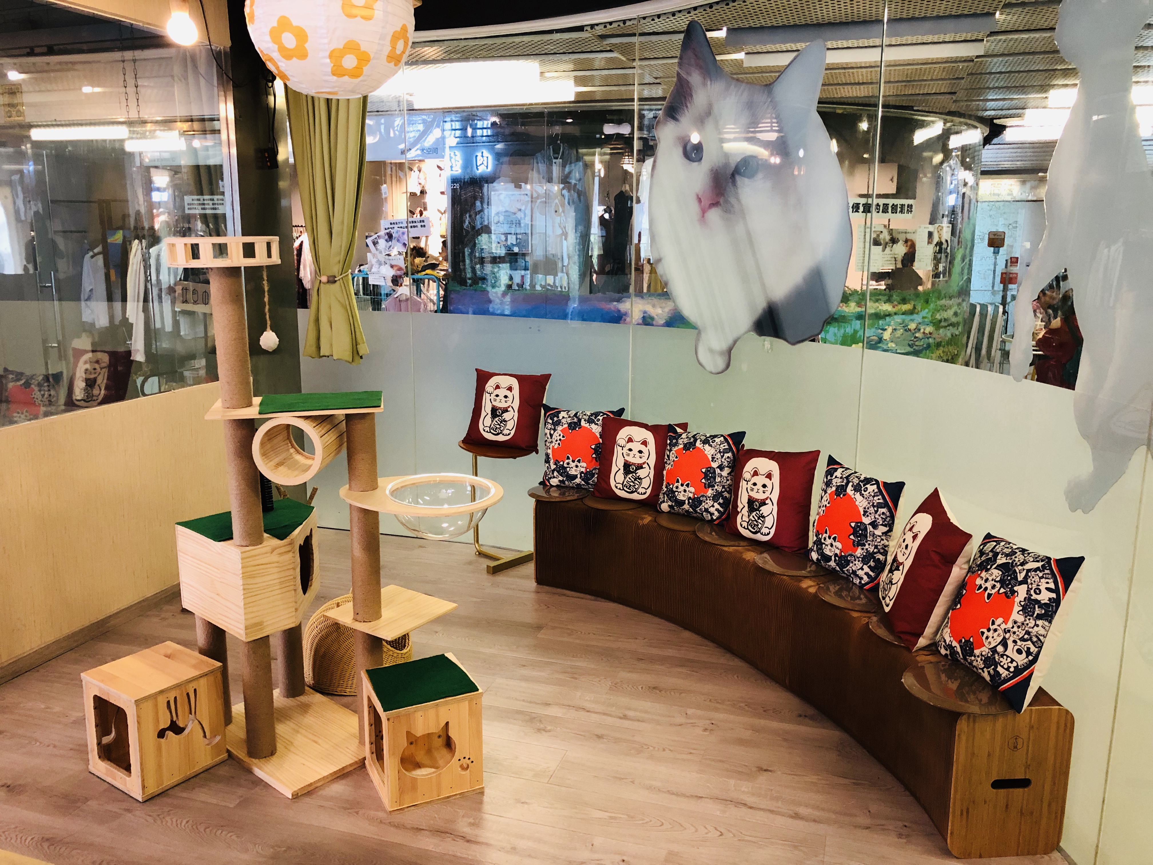 猫咪咖啡馆哪个最好,北京有名的猫咪咖啡馆