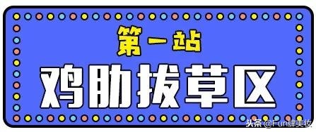 十大网红神器评测,盘点你买了就会后悔的网红神器