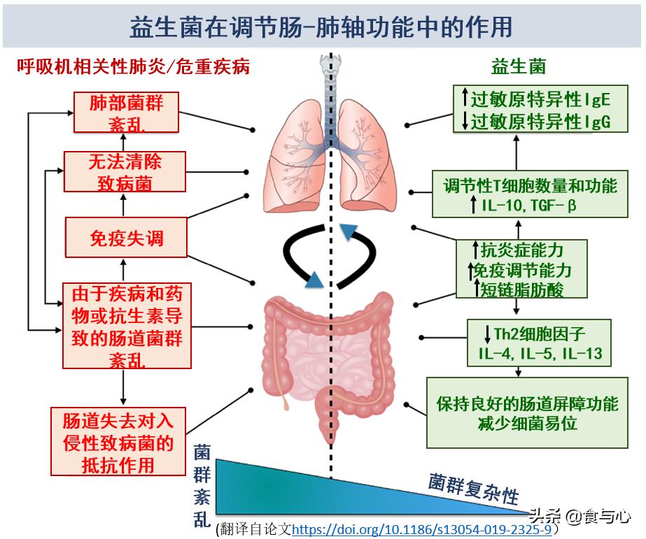 新冠病毒肠道菌群平衡,肠道感染会肠道菌群紊乱吗