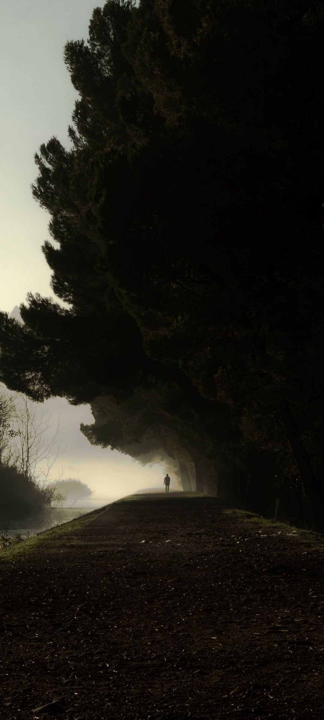 夏日激情四射的足球场,夏日绿茵球场