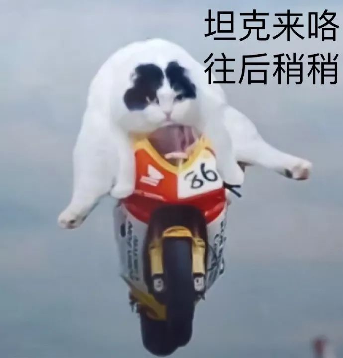 均价不过10元好物,均价不超过十块的好物分享