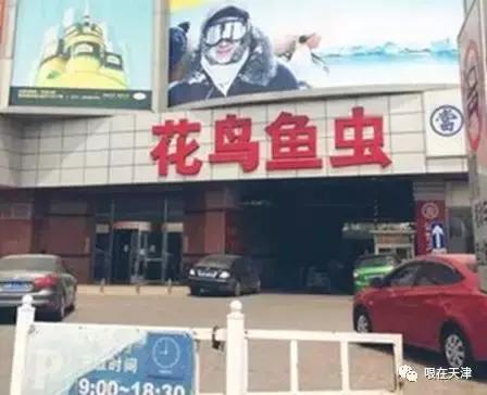 天津哏儿都的好去处,天津哏儿都