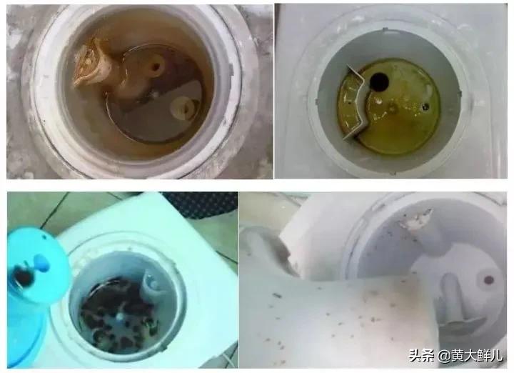 饮水机清洗除菌,直饮水机的正确清洗方法